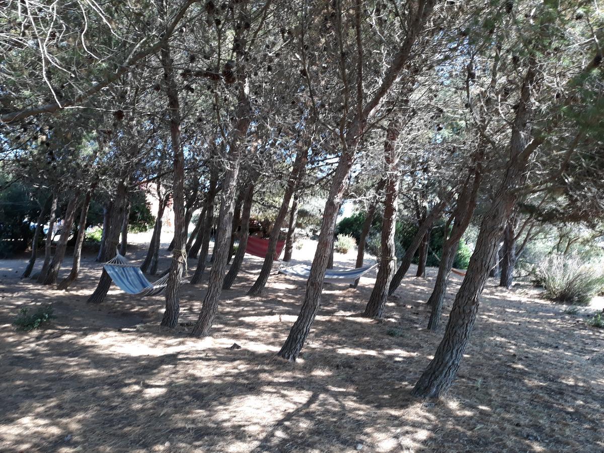La Macciona Διαμέρισμα Aglientu Εξωτερικό φωτογραφία
